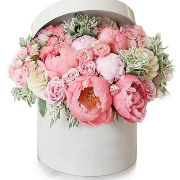 пионы в коробке