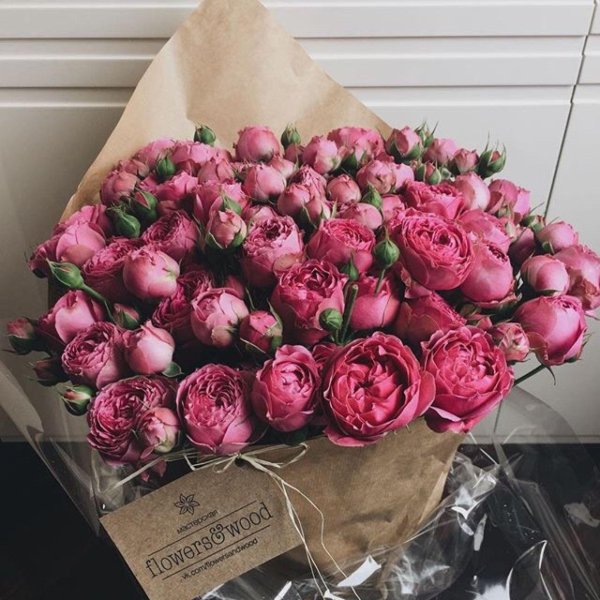 тюльпаны пионы пионовидные