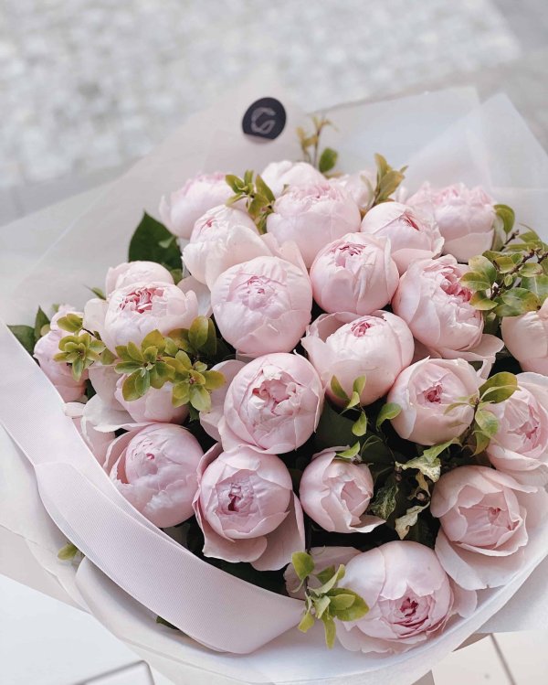 цветы пионовидные розы