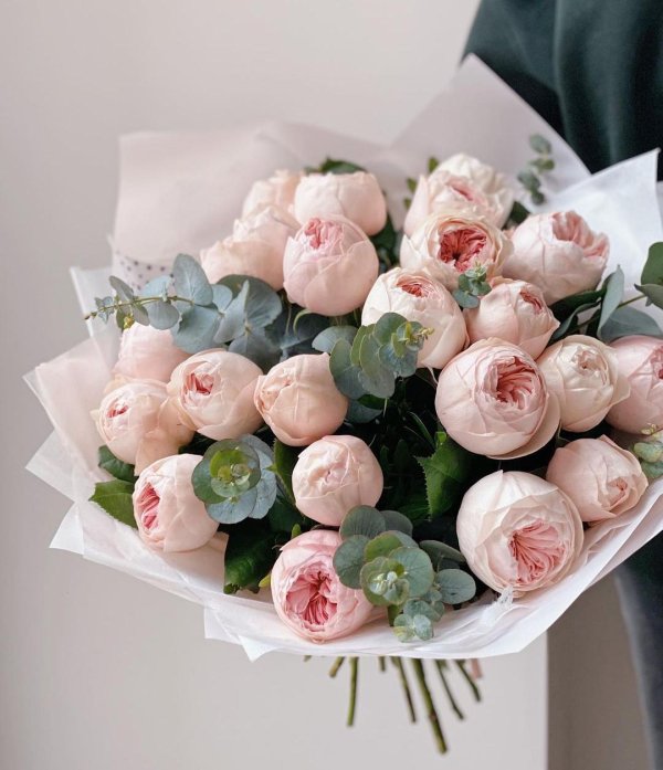 пионовидные розы букеты смешанные