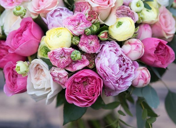 пионовидные цветы