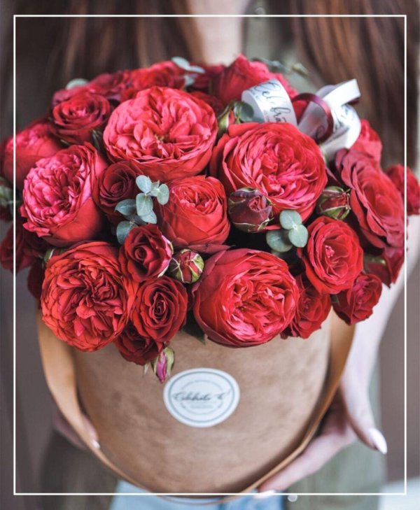 шляпная коробка