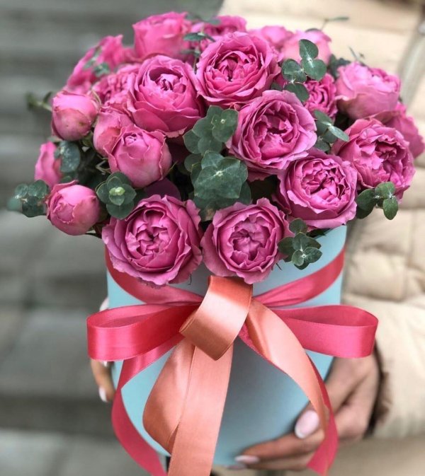 мисти баблс в шляпной коробке