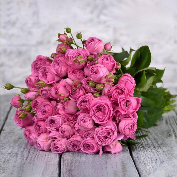 роза кустовая мисти бабблз