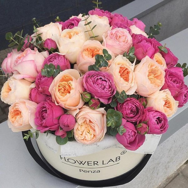 цветы в коробке