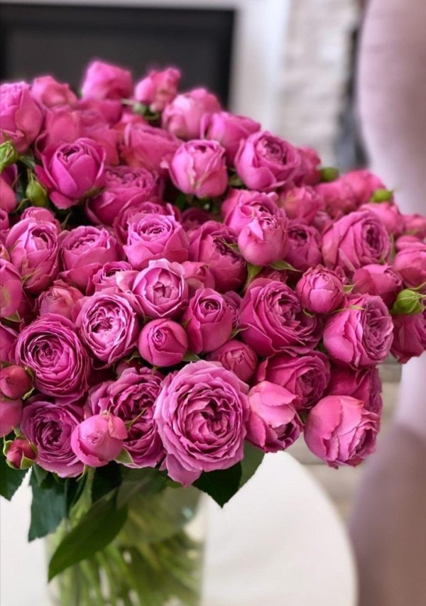 мисти баблс роза