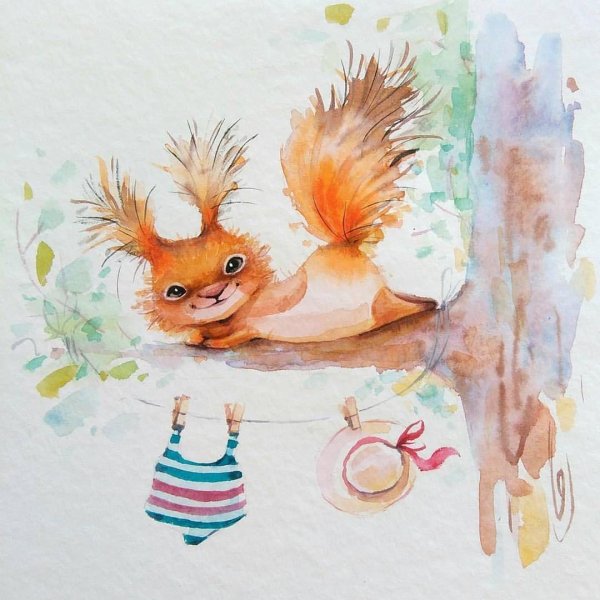 рисунок белка