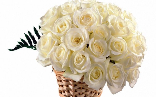 корзина белых роз