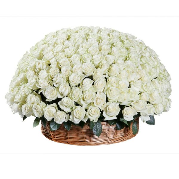 огромная корзина цветов