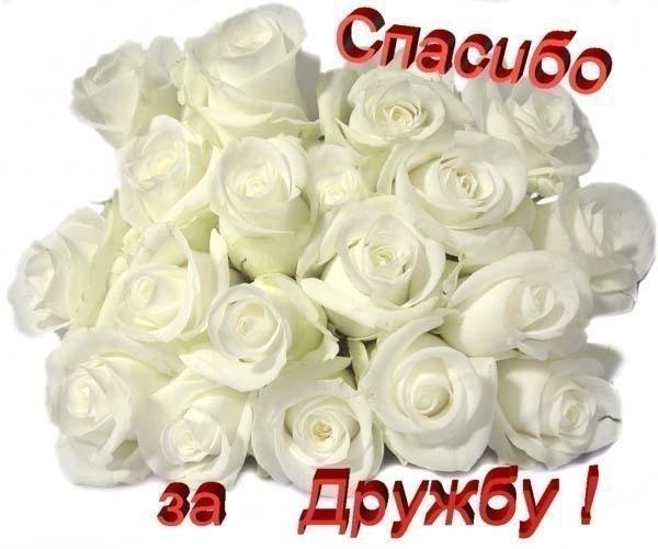 тебе подруга