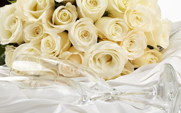 букеты белых роз шикарных