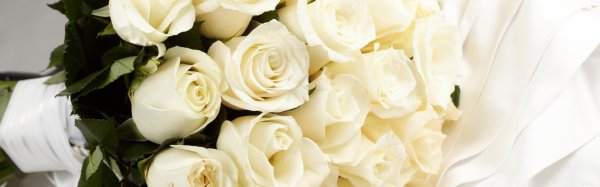 роза вайт грин