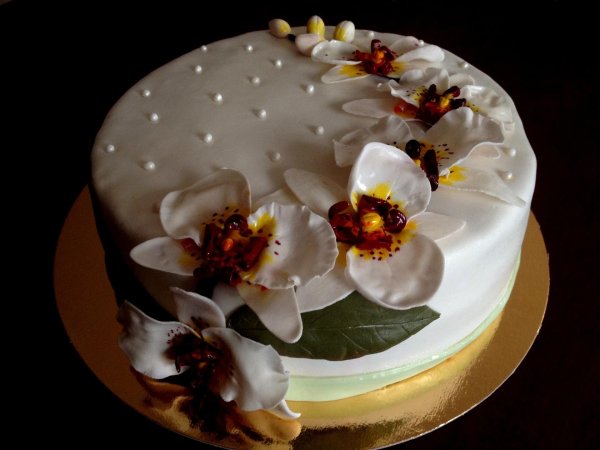 орхидея из мастики