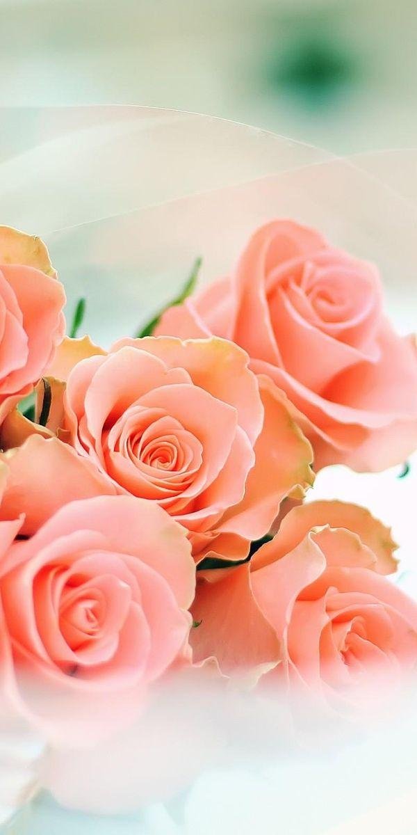 цветы для самой прекрасной