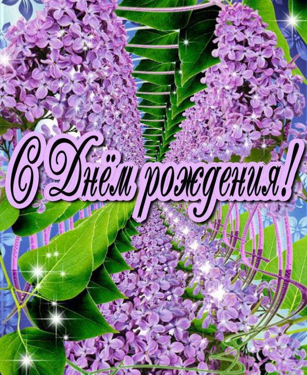 рамка сирень