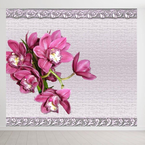 розовая орхидея