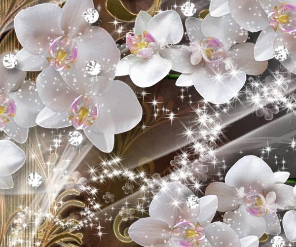 фон с орхидеями
