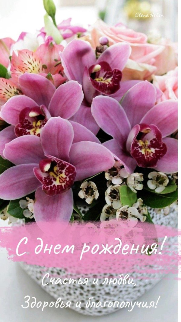 орхидеи букет