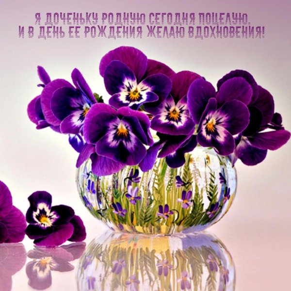 анютины глазки