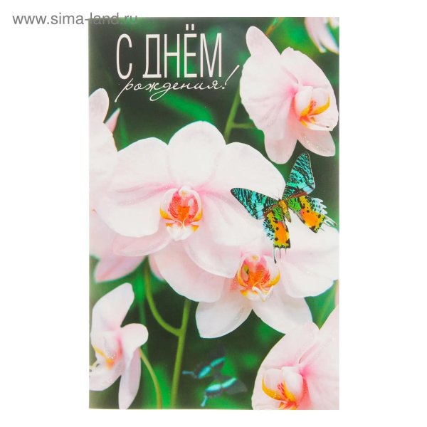 орхидеи с днем рождения