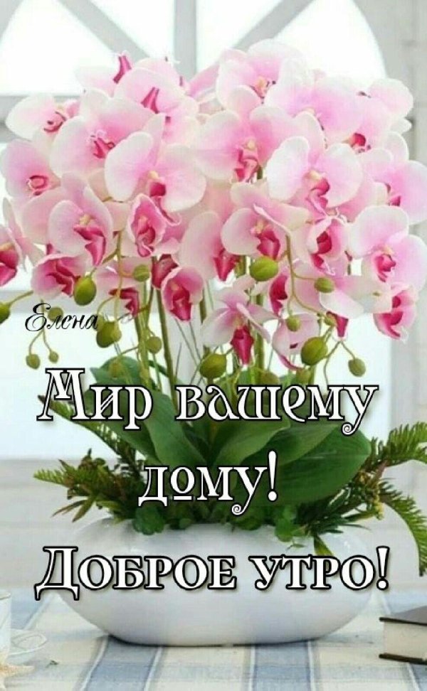 доброе утро доброе утро