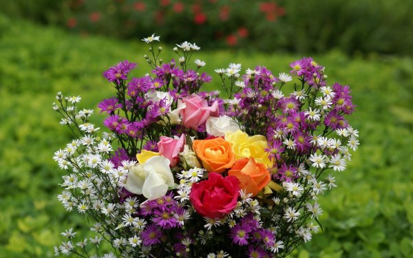 красивые летние букеты