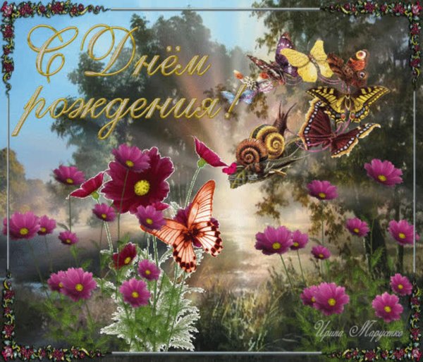 бабочка открытка