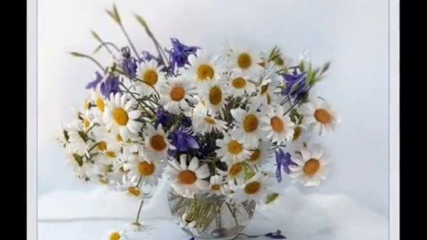 букет ромашек