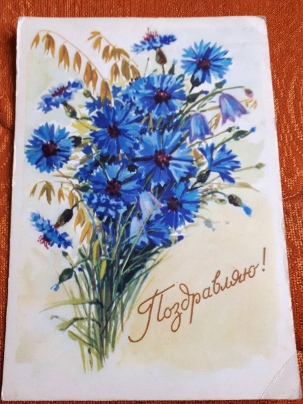 открытка васильки