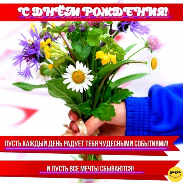 открытка с полевыми цветами