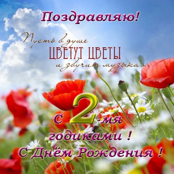 цветок полевой