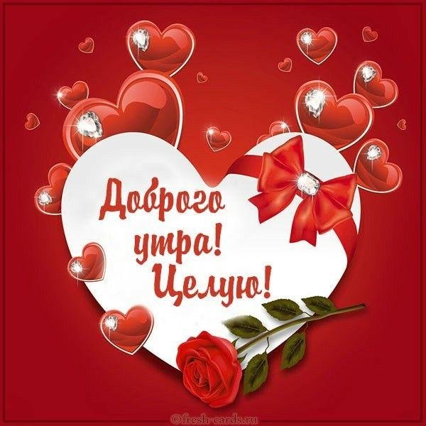 доброго дня любимая