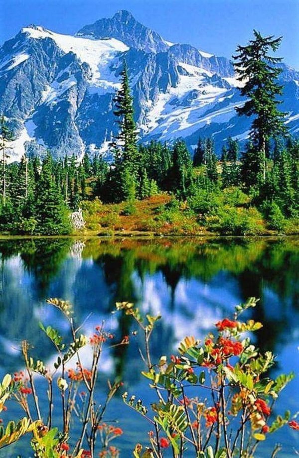 табиат манзараси