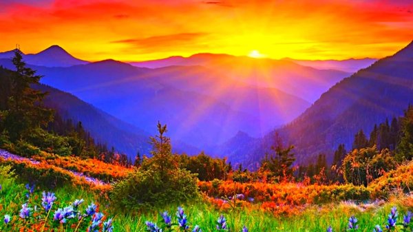 красота природа