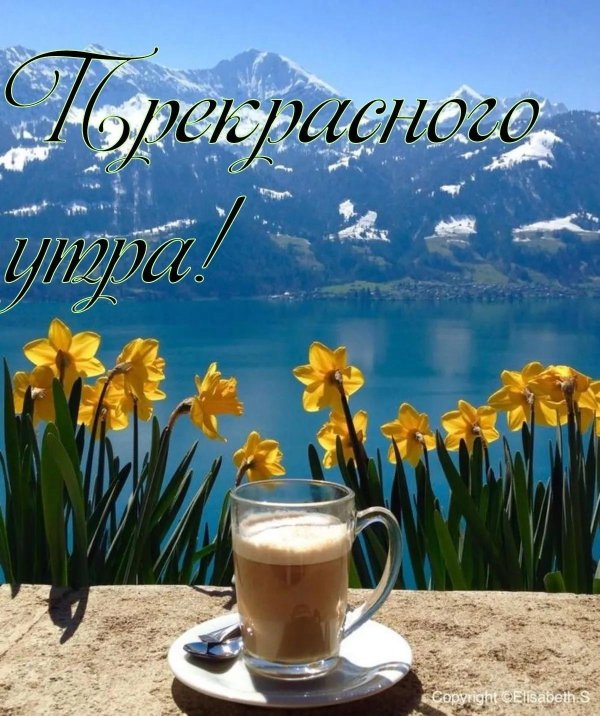 открытки с добрым утром вторника весенние