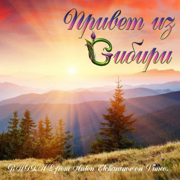 с днем сибири