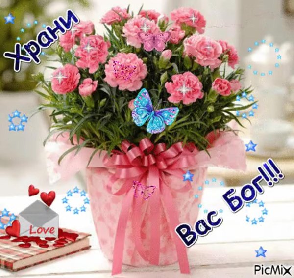 счастья и здоровья picmix