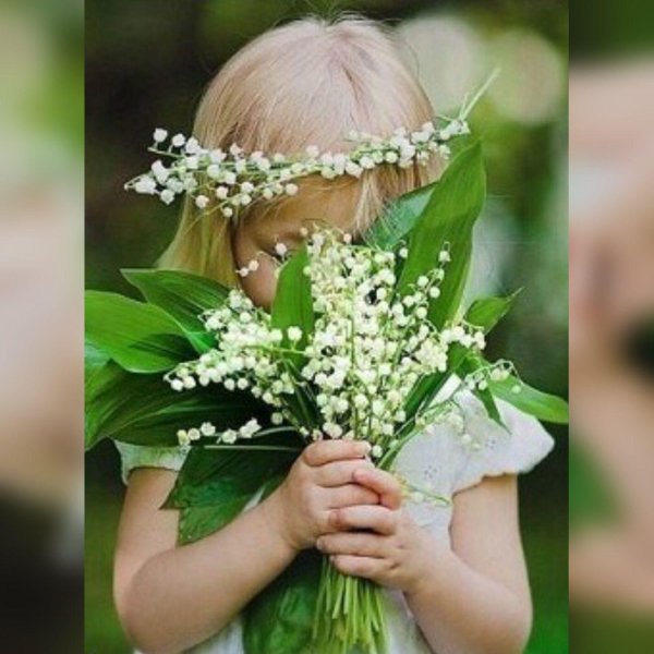 ландыш букет