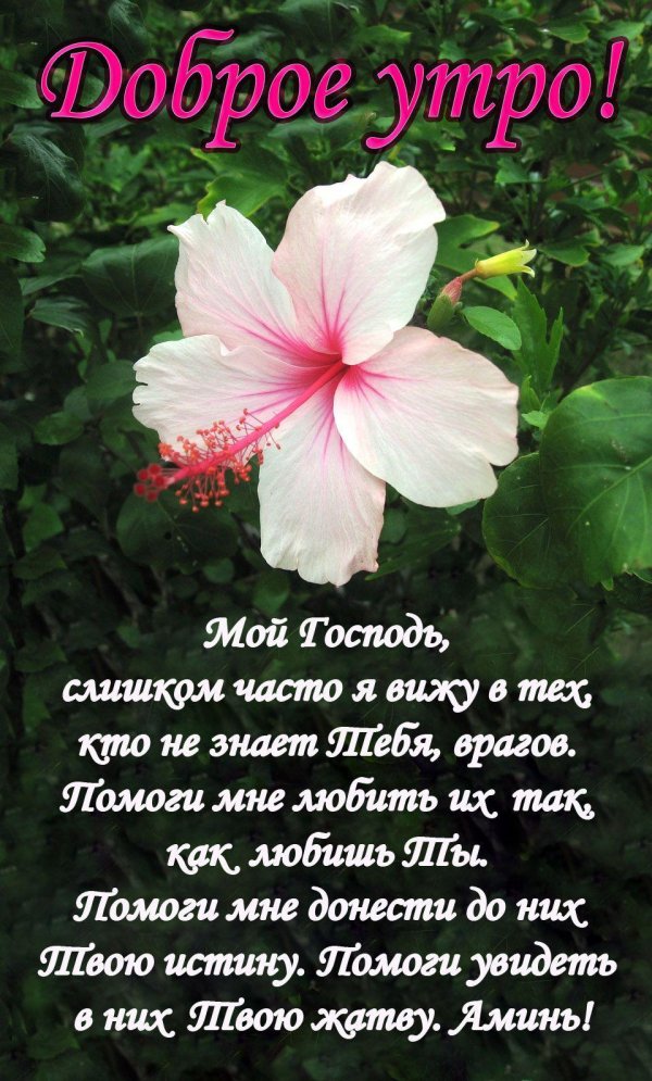 христианские открытки с пожеланиями доброго утра