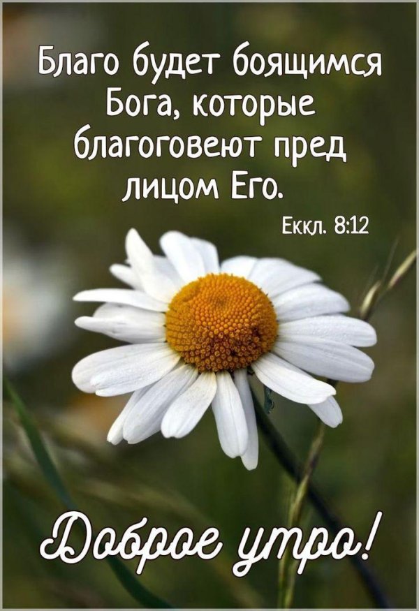 доброе утро библия