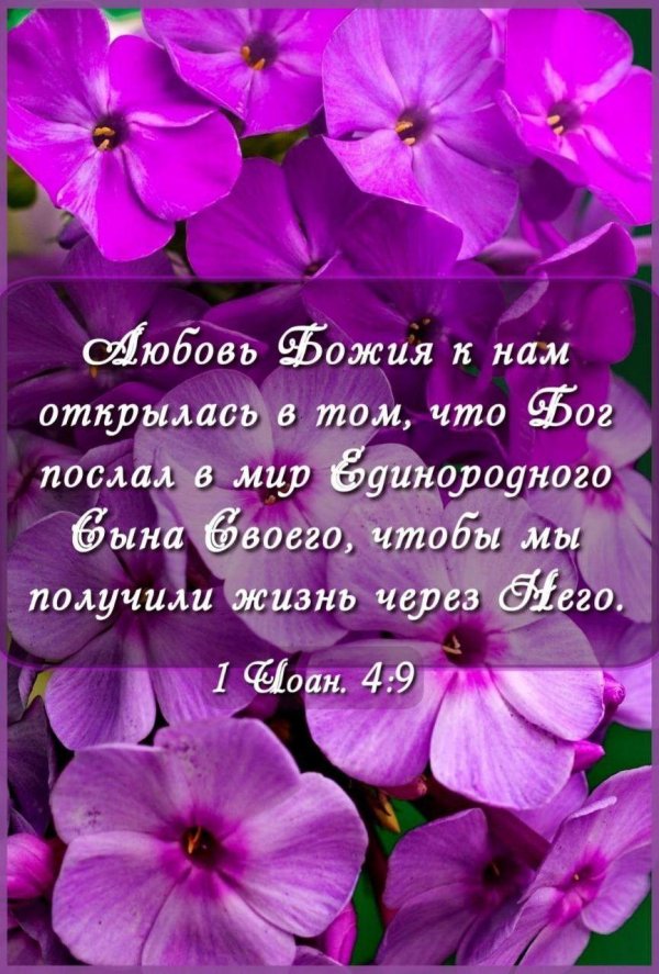 благословенье бога