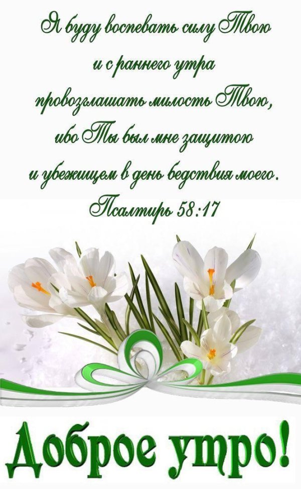 весенние цветы