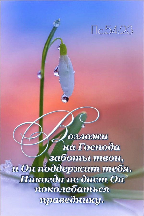 христианская библия