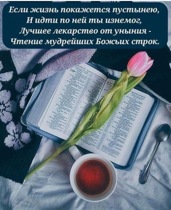 библейские стихи