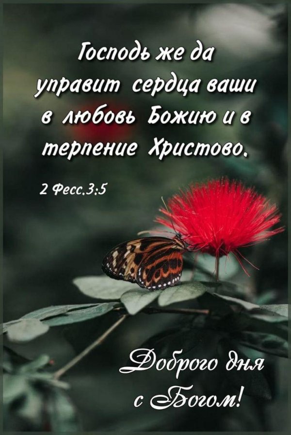 цветок экзотический