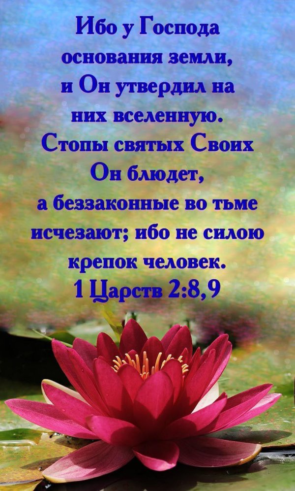 библейские стихи