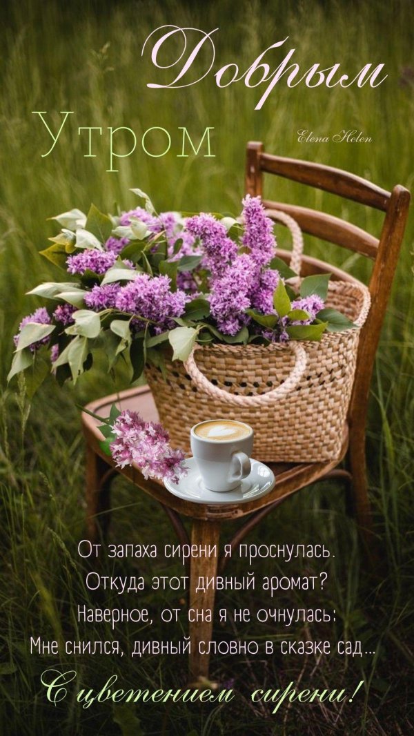 доброе утро сирень
