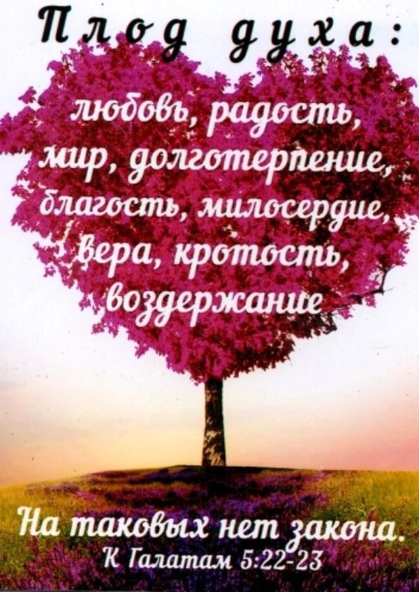 слова из библии про любовь