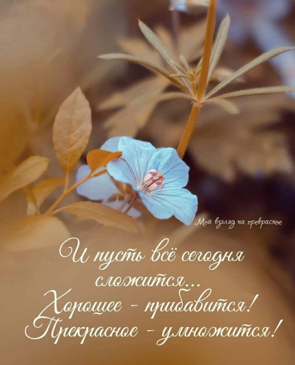 открытка со смыслом