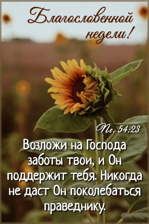 благословенной недели